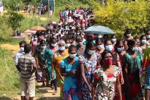 13 வயது சிறுவனிடம் மோசமாக நடந்துக்கொண்ட பிக்குக்கு நேர்ந்த நிலை! | Sri Lanka Watawala Bhikkhu Arrest Police Court