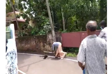 தெரு நாயை அடித்து கொன்ற இளைஞர்கள்! ஏன்?