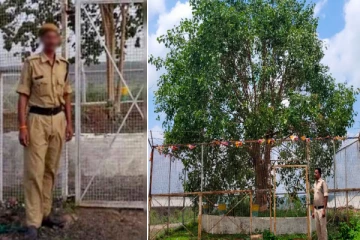 ரூ.12 லட்சம் செலவு; 24 மணி நேர பாதுகாப்பு - மாநில அரசால் பராமரிக்கப்படும் விவிஐபி மரம்!