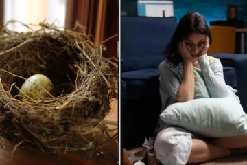 வீட்டில் தீய சக்திகள் இருப்பதை உணர்த்தும் 3 உயிரினங்களின் வருகை