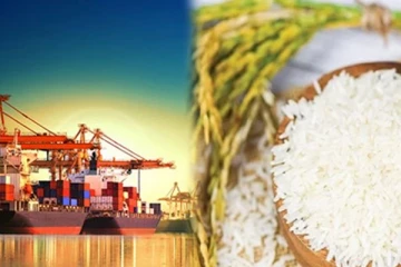 வெளிநாடுகளில் இலங்கை அரிசிக்கான கேள்வி அதிகரிப்பு - செய்திகளின் தொகுப்பு