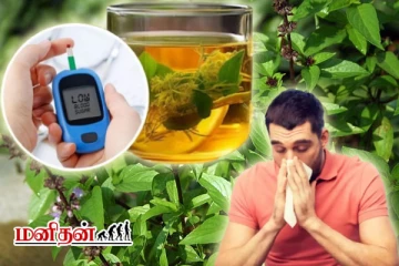 போக்க முடியாத நோய்களையும் எளிதாக போக்கும் துளசியின் மருத்துவ குணங்கள் இவ்வளவா?