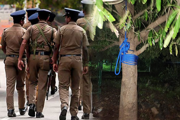 திருகோணமலையில் திருடிய மாடு ஒன்றை அறுத்த இருவர் தப்பியோட்டம் | Men Flee After Slaughtering Stolen Cow Trincomalee