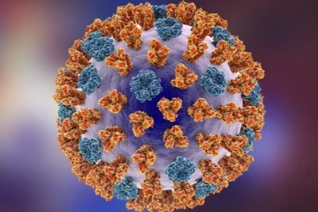 இலங்கையில் பரவும் இன்ஃப்ளூயன்சா A வைரஸ் அறிகுறிகள் - இதுவரை 14 பேர் உயிரிழப்பு