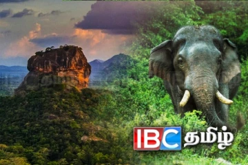 சிகிரியாவுக்கு சுற்றுலா சென்ற வெளிநாட்டவருக்கு நேர்ந்த கதி!