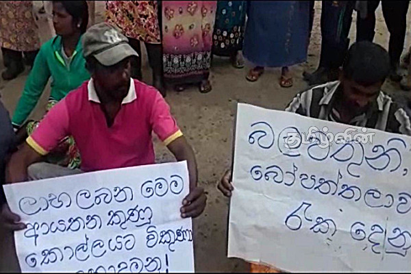 தனியார் மயமாக்கப்படும் என்.எல்.டி தேசிய பண்ணை: மக்கள் வெளியிட்டுள்ள எதிர்ப்பு | Nld National Farm To Be Privatized Public Protest