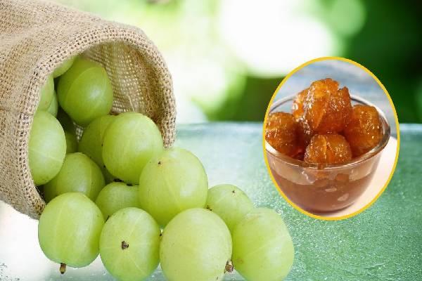 ஆரோக்கிய நன்மைகளை அள்ளிக் கொடுக்கும் தேன் நெல்லிக்காய்... எப்படி செய்வது? | How To Prepare Honey Amla And Health Benefits