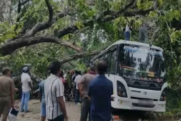 வீதியில் பாரிய மரம் முறிந்ததில் 7 வாகனங்கள் சேதம்!