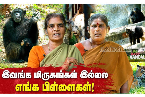 புலிக்கு பால் ஊட்டி வளர்த்த சிங்கப்பெண்! | Vandalur Zoo Interview