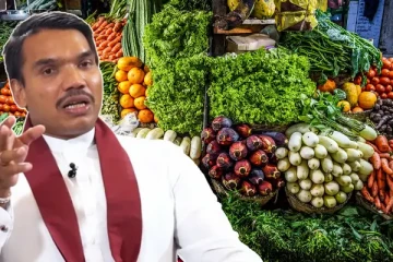 மரக்கறிகளின் விலை குறைக்க நடவடிக்கை: நாமல் ராஜபக்ச