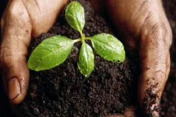 பசளை தொடர்பாக எடுத்த முடிவுகளை மாற்ற அரசு தயங்கக்கூடாது! - ருவான் விஜேவர்தன