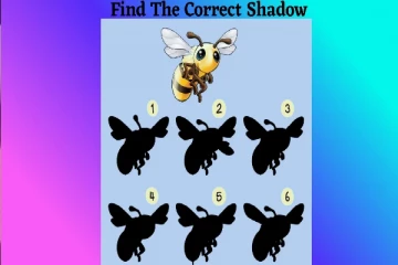 Optical illusion: உங்கள் IQ சோதனை இது... இந்த நிழல்களில் எது மேலே உள்ள தேனீக்கு சரியானது?