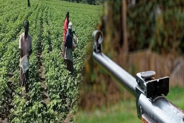 அம்பாந்தோட்டையில் விவசாயிகளுக்கு வழங்கப்பட்ட வாயு துப்பாக்கிகள்