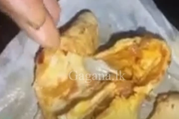 මහා රෑ කාපු බඩ දඟලලා උගුරෙන් එන විදිහේ අමුතුම රොටිය...(VIDEO)