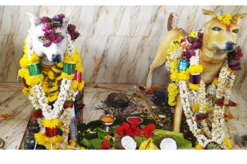 நாய்க்கு சிலை வைத்து கடவுளாக வழிபடும் கிராமம்