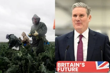 பிரித்தானியாவில் சாதனை எண்ணிக்கையில் பணியாற்றும் புலம்பெயர் மக்கள்: பிரதமர் சொன்ன விடயம்