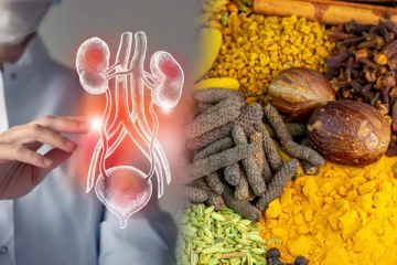 சிறுநீரக சக்தியை இரட்டிப்பாகும் சில முறைகள்