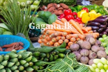 ඇස් රතු වෙන්නම උඩ ගිය එළවළු මිලට අද මොකද වුණේ?.