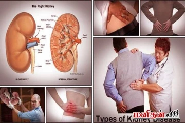 அமைதியான சிறுநீரக சிதைவு - உலகளவில் 800 மில்லியன் மக்கள் பாதிப்பு... என்ன செய்யலாம்?