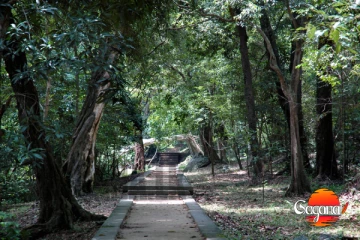 මරු තීන්දුව, ගස්වලට වැඩිපුර වතුර යනවා කියලා රක්‍ෂිතයේ ගස් දාහක් කපන්න සැරසෙයි