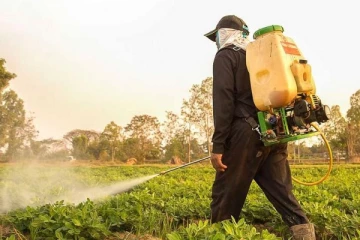 “தோல்வி தொடர்பில் இலங்கையிடம் இருந்து பாடத்தை கற்றுக்கொள்ளுங்கள்” கென்ய அரசாங்கத்துக்கு அழுத்தம்!