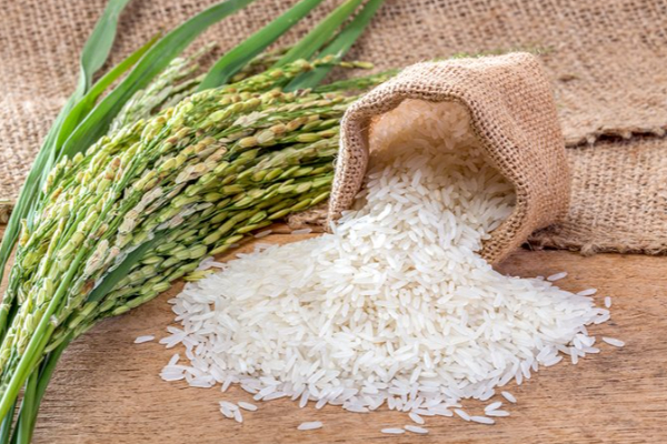 அரிசி மாபியா விவகாரம் ; நிர்ணய விலைக்கு மேல் விற்றால் கடும் நடவடிக்கை | Rice Mafia Issue Strict Taken If Sold Fixed Price