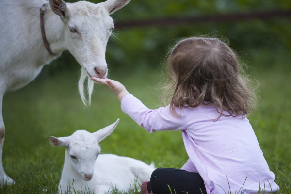 ஜாதகத்தில் தோஷம் இருக்கிறதா? இந்த ஒரு பரிகாரம் செய்யுங்கள் வாழ்க்கையே மாறும் | Easy Remedies For All Dosha In Horoscope
