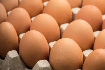 බිත්තර වැටලීම් යළිත් ක්‍රියාත්මකයි - බිත්තරයක් අලෙවි කළ යුතු උපරිම සිල්ලර මිල මෙහෙමයි..