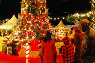 லண்டனில் கொண்டாட்டத்திற்கு காத்திருக்கும் மக்களுக்கு முக்கிய அறிவிப்பு