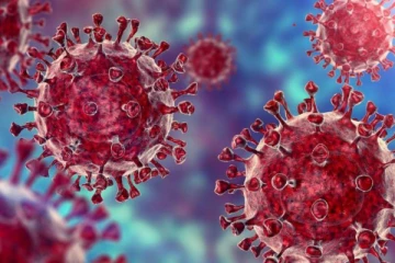 ஆஸ்திரேலியாவில் அதிகரிக்கும் டெல்டா ப்ளஸ் கொரோனா! பொதுமக்கள் அச்சம்!