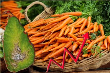 விண்ணைத்தொடும் விலை அதிகரிப்பு : 2000 ரூபாயாக அதிகரித்த கரட்