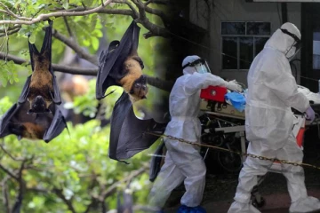 இந்தியாவில் பரவும் கொடிய வைரஸ்: விடுக்கப்பட்ட எச்சரிக்கை