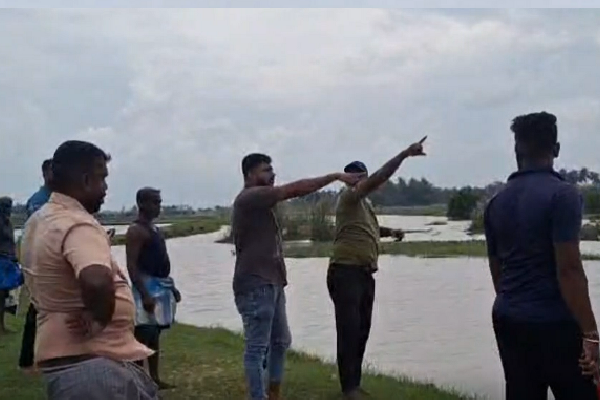 தமிழர் பகுதியின் பல கிராமங்களை அச்சுறுத்தும் காட்டு யானை கூட்டம் | Wild Elephant Herd Threatens Several Villages தமிழர் பகுதியின் பல கிராமங்களை அச்சுறுத்தும் காட்டு யானை கூட்டம் | Wild Elephant Herd Threatens Several Villages