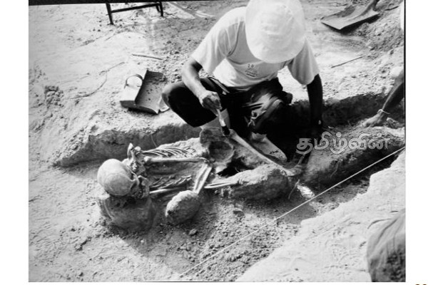 இலங்கை முழுவதும் பரந்து கிடக்கும் மனித புதைகுழிகள்: வெளியான முழுமையான அறிக்கை | Human Graves Spread All Over Sri Lanka