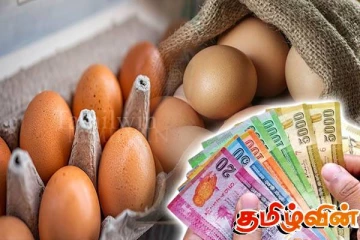 முட்டை விலையில் மாற்றம்! வெளியான அறிவிப்பு