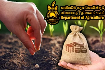 முதன்முதலாக இலங்கையிலிருந்து வெளிநாடுகளுக்கு ஏற்றுமதி செய்யப்படவுள்ள விதைகள்!