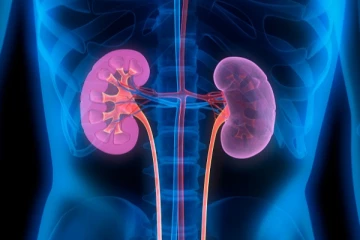 වකුගඩු ජාවාරමක් ගැන ප්‍රබල හෙළිදරව්වක්..ඔබත් දැඩි අවධානයෙන් සිටින්න..