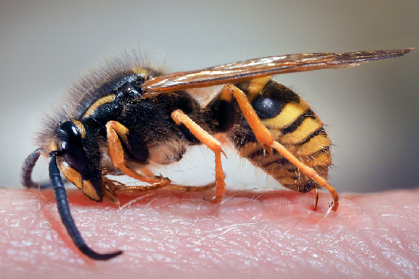 மாடு பார்க்கச் சென்ற முதியவருக்கு நேர்ந்த விபரீதம்- காவல்துறை விசாரணையில்! - ஐபிசி தமிழ்