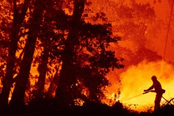 அமெரிக்காவில் பற்றியெரியும் காடுகள்!