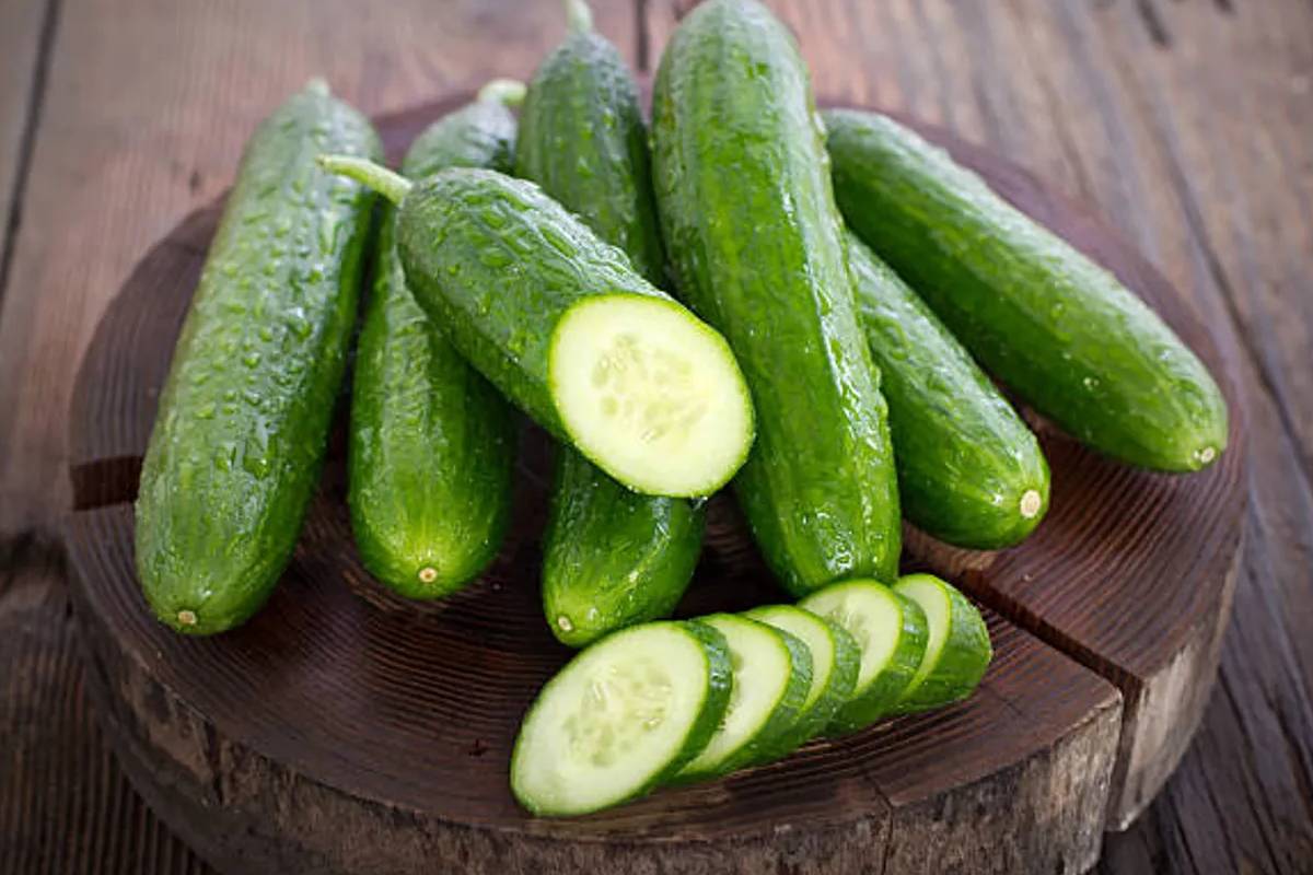 கோடைக்கு இதமான வெள்ளரிக்காய் தம்புளி... இவ்வளவு நன்மைகள் இருக்கா? | Tasty Cucumber Tambuli Recipe In Tamil