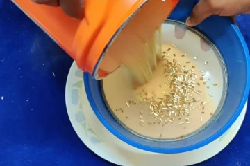 செடிவிதையில் தங்கக் கடத்தல் - 2.5 கிலோ  தங்கம் சென்னை விமானநிலையத்தில் பறிமுதல் !