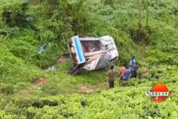 ලොරි රථයක් ලිස්සා අඩි 100ක ප්‍රපාතයකට වැටේ