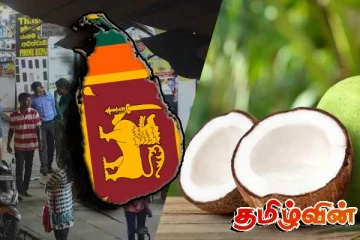 கடுமையான தேங்காய் பற்றாக்குறை! ஏற்றுமதி மூலம் பெரும் இலாபம் ஈட்ட திட்டமிடும் வியாபாரிகள்