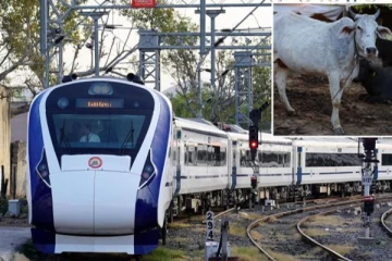 பறந்து வந்து விழுந்த பசு: சிறுநீர் கழிக்கச் சென்றவருக்கு நேர்ந்த பயங்கரம்