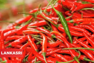 இரத்த அழுத்தத்தை பராமரிக்கும் சிவப்பு மிளகாயின் நன்மைகள் பற்றி தெரிந்துகொள்வோம்!