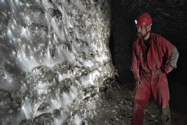 உலகின் மிகப்பெரிய சிலந்தி வலை கண்டுபிடிப்பு | Worlds Largest Spider Web Found