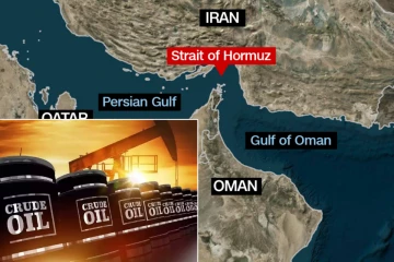 எண்ணெய் விநியோகத்தில் வரலாறு காணாத சரிவு - சர்வதேச எரிசக்தி முகமையின் எச்சரிக்கை