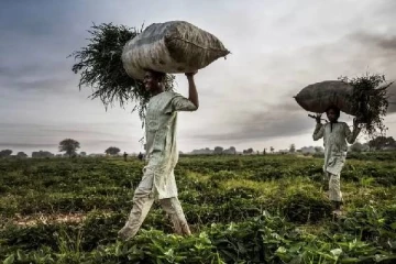 அதிகரித்த விலை உயர்வு, பற்றாக்குறை: அவசர நிலை பிரகடனம் செய்த ஜனாதிபதி