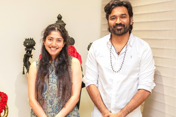 தனுஷ் படத்தில் நடிக்க சாய் பல்லவி வாங்கும் சம்பளம்.. எவ்வளவு தெரியுமா | Sai Pallavi Salary For D55 Movie