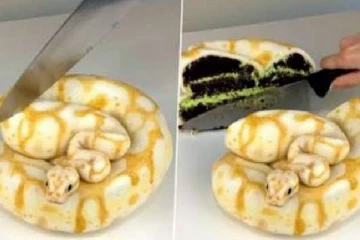 அடச்சீ... இதை பார்த்தால் கேக் சாப்பிடவே மறந்துடும் போலயே!